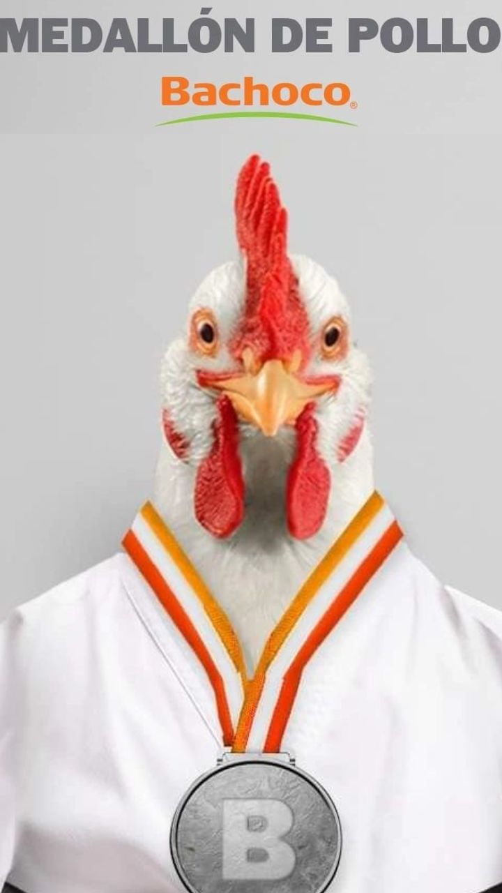 Ejemplo de copywriting con humor: la estrategia de Bachoco para conectar con su audiencia usando juegos de palabras que venden sin parecer que venden.